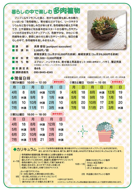 多肉植物 実施内容 多肉植物 実施内容