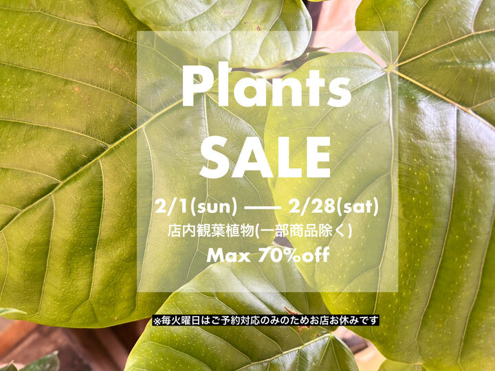 パケ・ドゥ パケ・ドゥ