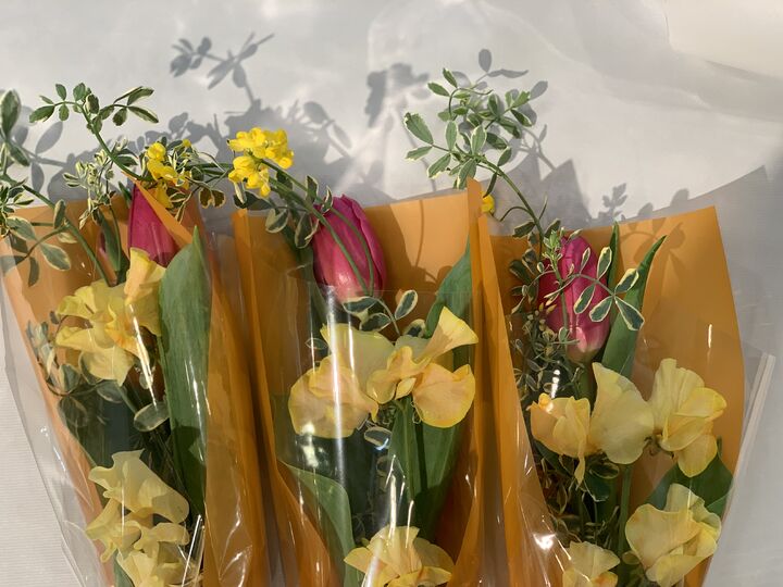 パケ・ドゥ パケ・ドゥ